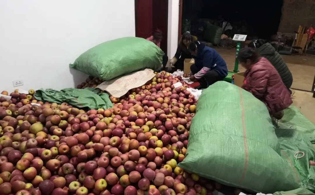 口袋德州官网-口袋德州APP下载